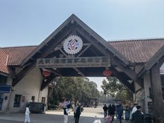 -上海海湾国家森林公园