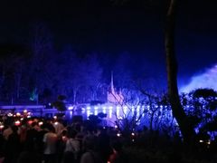-澜沧江湄公河之夜歌舞篝火晚会