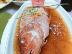 -顺风海鲜港(金玉兰店)