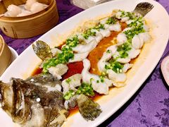 WT清蒸小龙趸-惠食佳·朱雀(东方商厦店)
