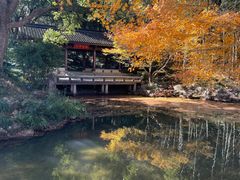 -杭州植物园