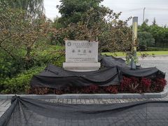-上海崧泽遗址博物馆