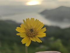 -东澳岛