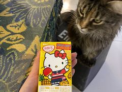 -平行世界·猫咖(首经贸店)