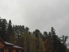 -五营红松林海景区