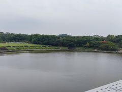 -东莞植物园