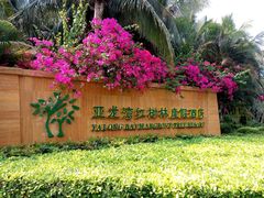 android_upload_pic-三亚亚龙湾红树林度假酒店