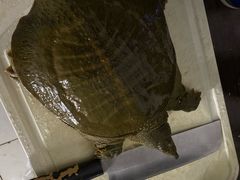 -锦绣大地生鲜食品厅(巨山路店)