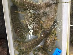 -拉威海鲜市场