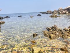 -养马岛旅游度假区