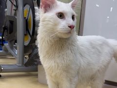 -中田健身工作室(深圳南油店)