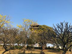 -大湾区中央湿地公园