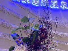 -爱乐国际温泉水疗会