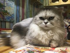 -小时光咖啡馆(开森度假森林店)