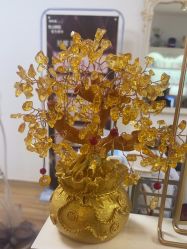 -美肤盾祛痘·问题肌头疗管理中心