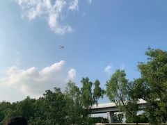 -宝安西湾红树林湿地公园