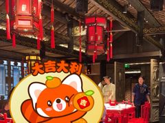 -小龙翻大江文化火锅(宽窄店)