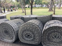 -白鹭洲公园
