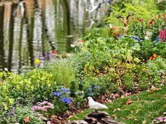 -上海共青森林公园