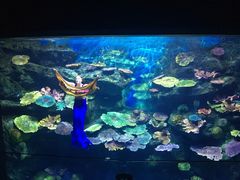 -暹罗海洋世界