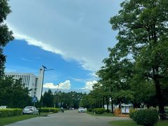 -顺德职业技术大学