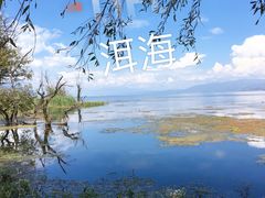 -大理洱海