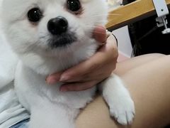 -零几体验diy皮具工作室(振业城店)