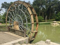 -铁山坪森林公园