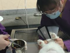 -思琪宠物医院(昆山花桥店)