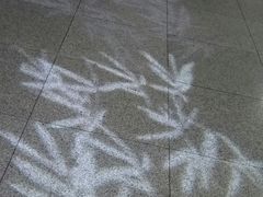-车公庙(地铁站)