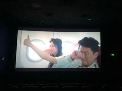 -幸福蓝海国际影城(上海三林店)