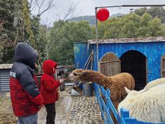 -宁波九龙湖开元度假村