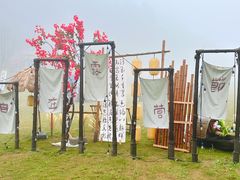 -玉苍山国家森林公园