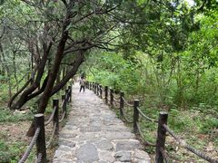 -阳台山自然风景区