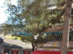 -潭柘寺景区