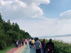 -贡湖湾湿地公园