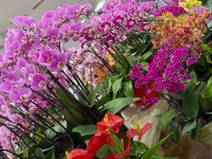 -双季花艺园艺市场(浦东店)