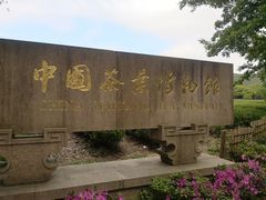 -中国茶叶博物馆(双峰馆区)