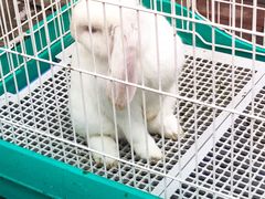 -大象厨房(重庆道店)