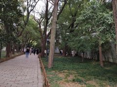 -西园戒幢律寺