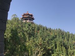 -龙口南山旅游景区