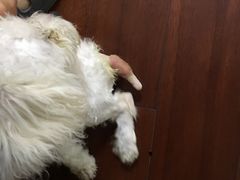 -美迦爱-牙专科·兔科·骨科诊疗中心(北苑店)