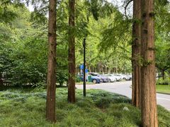 -虹迎轩·中餐厅(虹桥迎宾馆店)