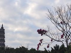 -顺峰山公园
