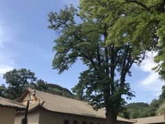 景点-延安杨家岭革命旧址