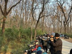 -紫金山山顶公园