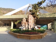 -大连森林动物园