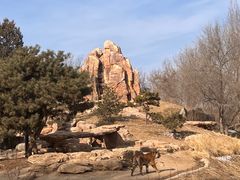 -北京野生动物园