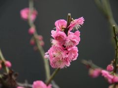 -北京鹫峰国家森林公园