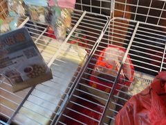 -蓝湾碧波·老字号·疍家非遗海上餐厅